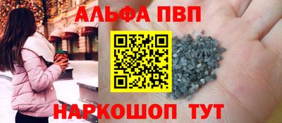 спайс Кингисепп