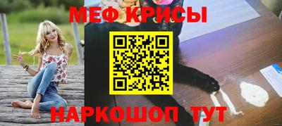 спайс Кингисепп