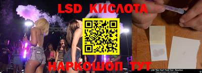 спайс Кингисепп