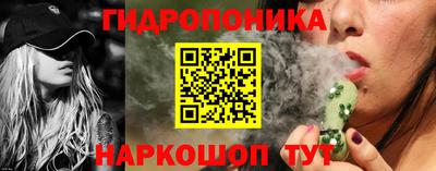 спайс Кингисепп