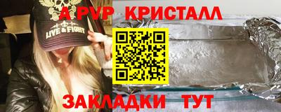 спайс Кингисепп