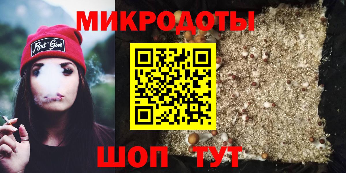Галлюциногенные грибы мухоморы Курчатов