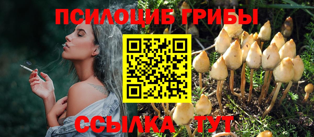 Курчатов  Галлюциногенные грибы MAGIC MUSHROOMS  Вход с VPN 